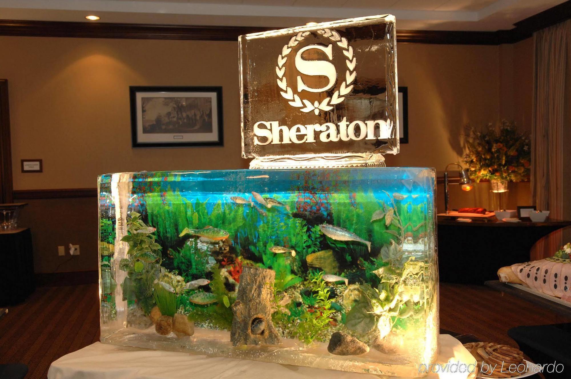 Hotel Sheraton